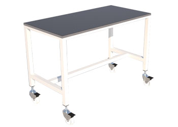 Veterinary Examination Table